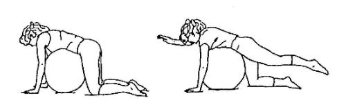 Crossed Extensor